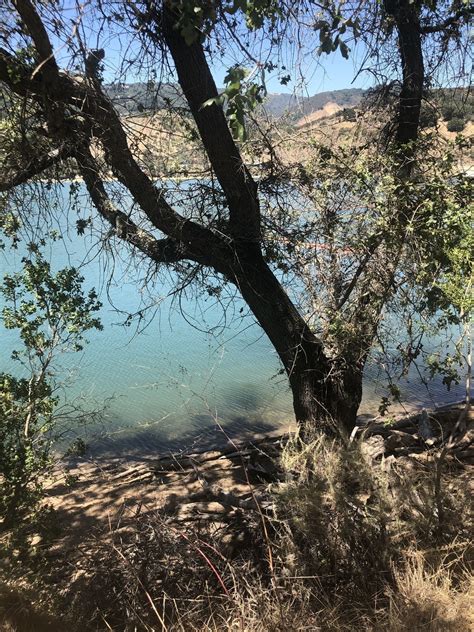 Stevens Canyon Trail - California | AllTrails