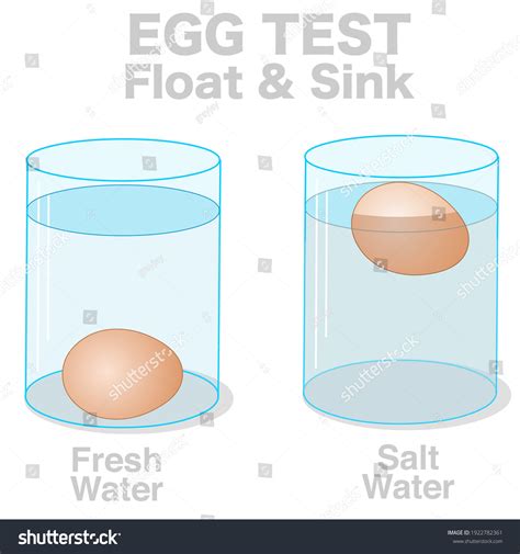 2,387 Egg Floating Water Images, Stock Photos & Vectors | Shutterstock