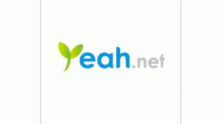 网易Yeah.net标志logo设计,品牌vi设计