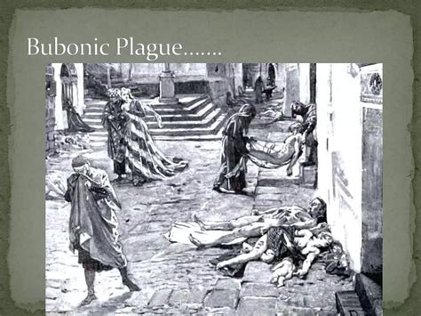 Bubonic plague | PPT