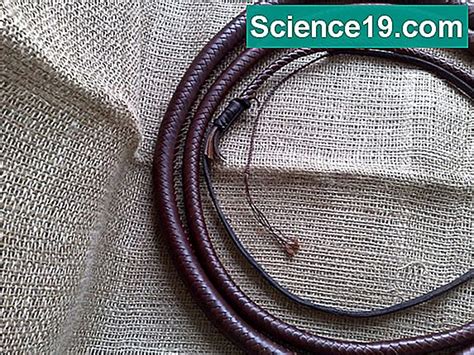 Natural Ecosystem Examples 的图像结果