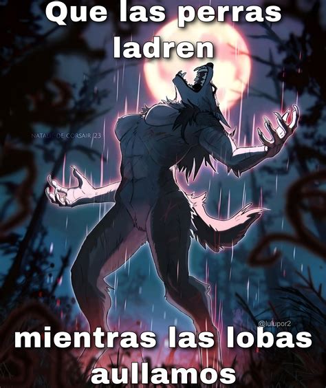 Pin by ౨ৎ on humor?? | Wolf meme, Alpha wolf, Alpha werewolf