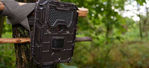 Image result for How to Use a Trail Camera