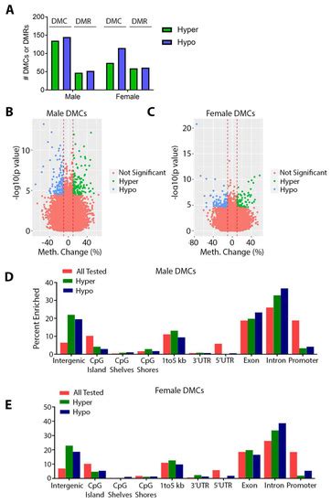 Perinatal Lead Exposure Promotes Sex-Specific Epigenetic Programming of ...