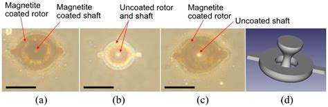 Magnetically Driven Micromachines Created by Two-Photon ...