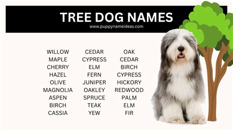 What Female Dog Called