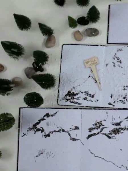 2014 Austrian Grand Prix cartoon