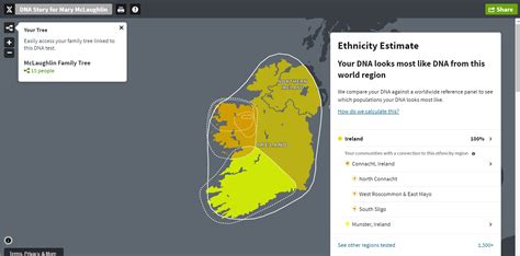 AncestryDNA vs. 23andMe: Which DNA Kit Delivers the Best Genetic ...