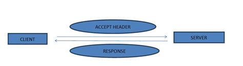 Web API Programming 的图像结果