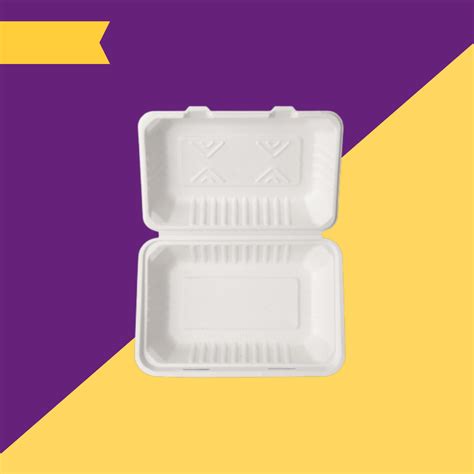 9X6 inch (23X15 cm) Clamshell made of Bleached White Bagasse – SADHOBPI