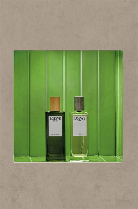 Perfumes | LOEWE Perfumes