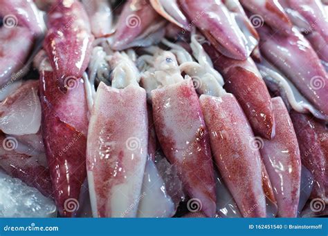 Many Fresh Raw Calamari Close Up, Heap of Red and White Calamary on Seafood Market, Squids with ...