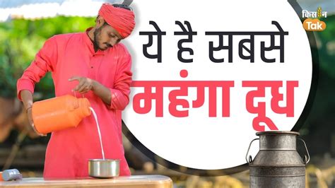 Milk Facts: गाय-भैंस का नहीं, सबसे महंगा बिकता है इस जानवर का दूध, 5000 ...