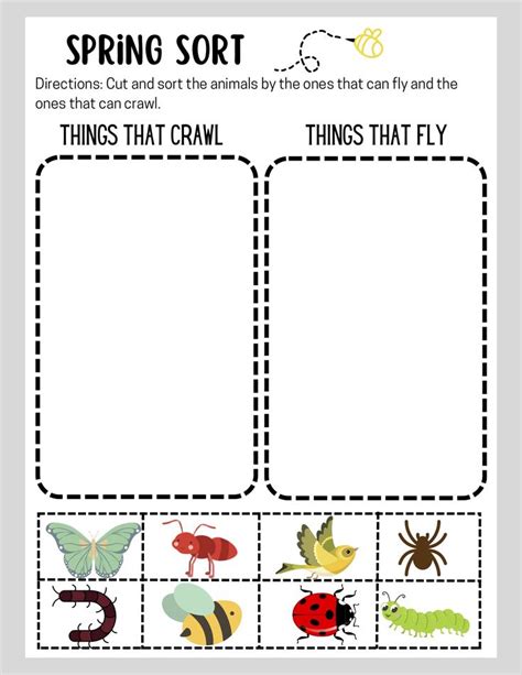 Image result for Sort Spring Worksheet