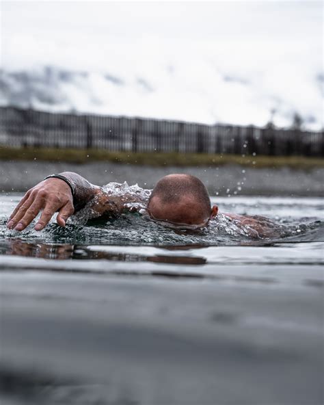 Nature Swim 的图像结果
