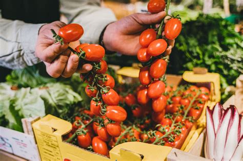 Image result for Cooking Programs