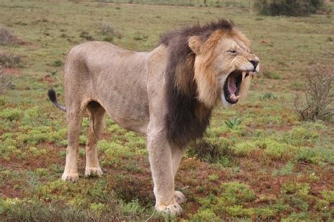 Nama Tours (Addo) - 2022 What to Know Before You Go (with Photos ...