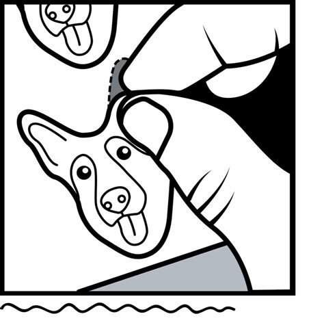 Image result for Getting a Sticker