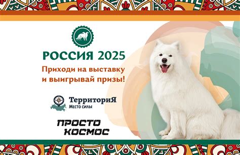 Выставка Россия 2025 — СИМБИО