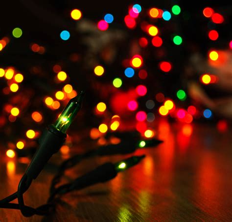 Image result for Computer Christmas Lights