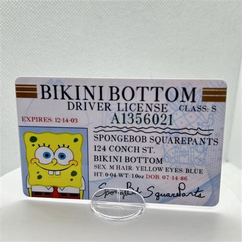 4 SpongeBob bikini bottom driver licenses |... | Depop