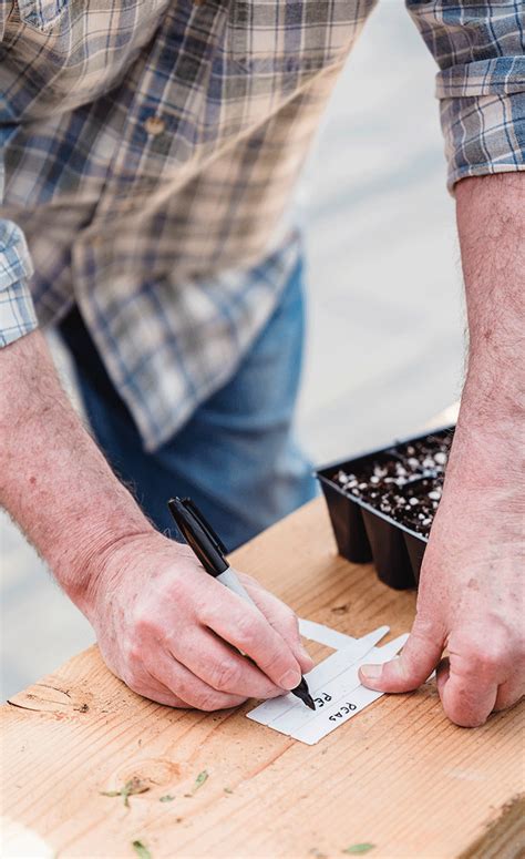 Image result for tagging