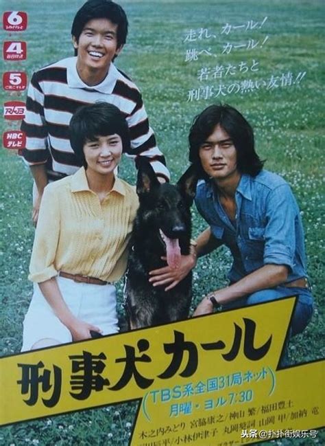 警犬卡尔全集中文版-电视连续剧警犬卡尔第一集-酷派宠物网