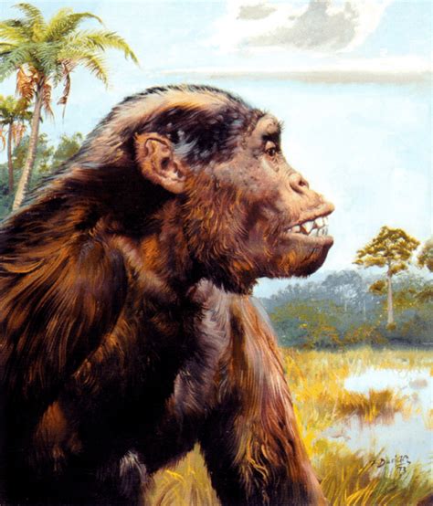 Image result for Dryopithecus