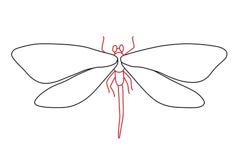 Simple Dragonfly Outline