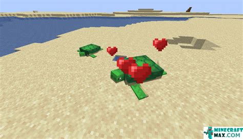 Turtle Tutorial Minecraft 的图像结果