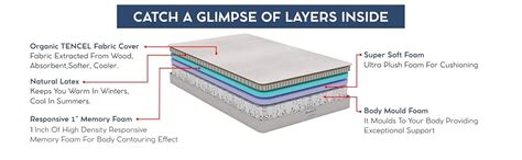 Boston Basics 6 Inch Orthopedic 100% Pure Certified Organic Natural ...