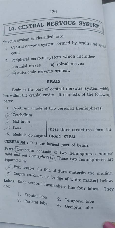 cranial nerves ii) spinal nerves iii) autonomic nervous system. BRAIN Br..