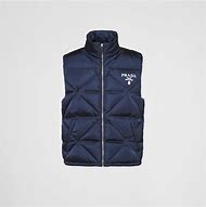 Image result for 马甲 Gilet