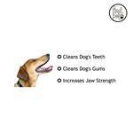 Buy First Pet Natural Rubber Dog Bone - Chew Toy, Enhances Jaw Strength ...