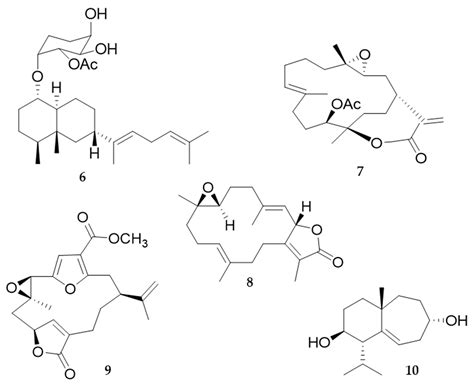 Biomaterials and Bioactive Natural Products from Marine Invertebrates ...