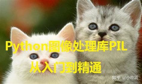 Image Grab Python 的图像结果