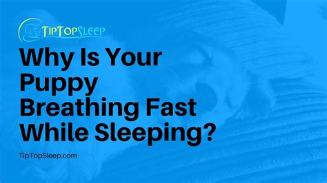 Baby Breathing Fast While Sleeping Forum at Clyde Miller blog