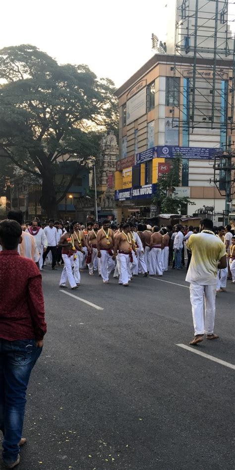 Image result for Mod Application Logo