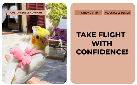 Qpets® Pet Parrot Harness Bird Harness and Elastic String Mini ...