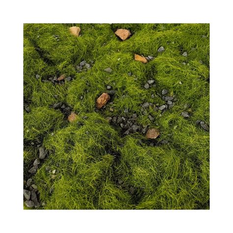 Buy Miniature Scenery Basing Material Kit Terrain Kit for DIY Model ...