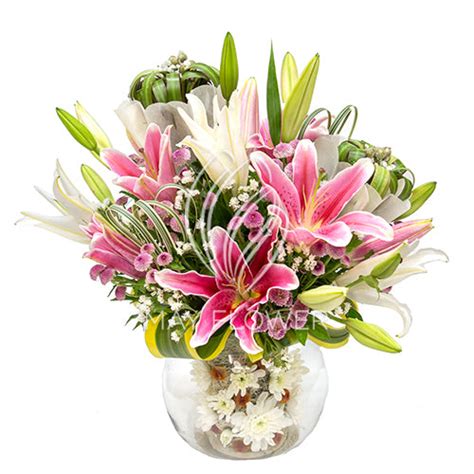 Lily Kugel – May Flower