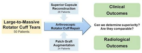 Reinforcement Techniques in Arthroscopic Repair of Large-to-Massive ...