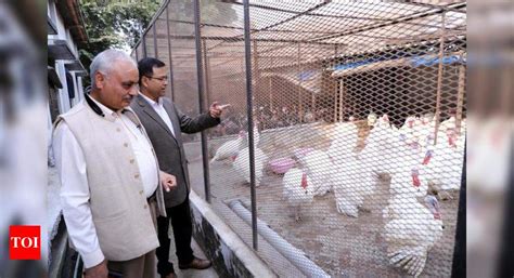 This Thanksgiving, city’s avian institute is promoting turkey farming ...