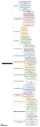 Stages of Human Development Mind Map - UGC NET Crash Course Home Science
