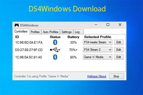 DS4 Download Tutorial 的图像结果