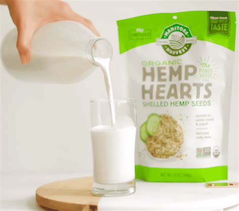 Quick & Easy Homemade Hemp Milk Recipe - Lina Cooks Clean