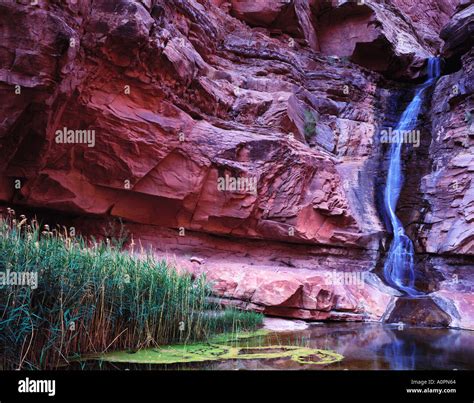 Dark canyon wilderness hi-res stock photography and images - Alamy