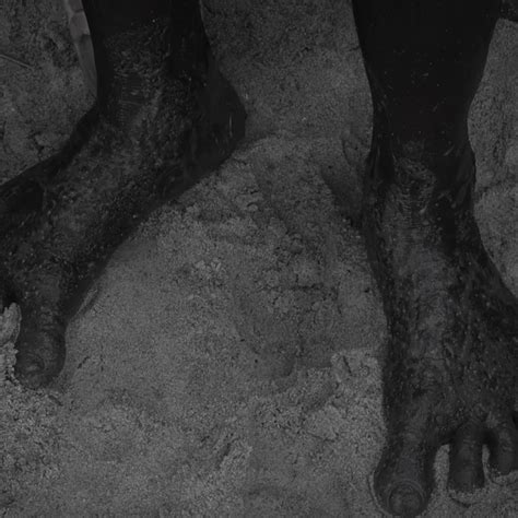 International Documentary & Short Film Festival of Kerala | IDSFFK