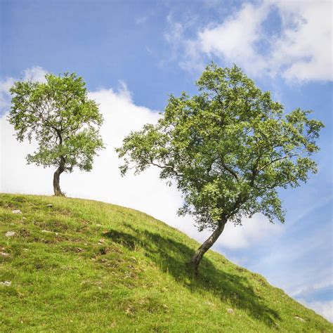 what equipment do you need for nature photography