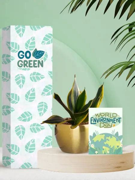 Live Green Gifts For Thoughtful Environment Day Office Giving – Greenkin